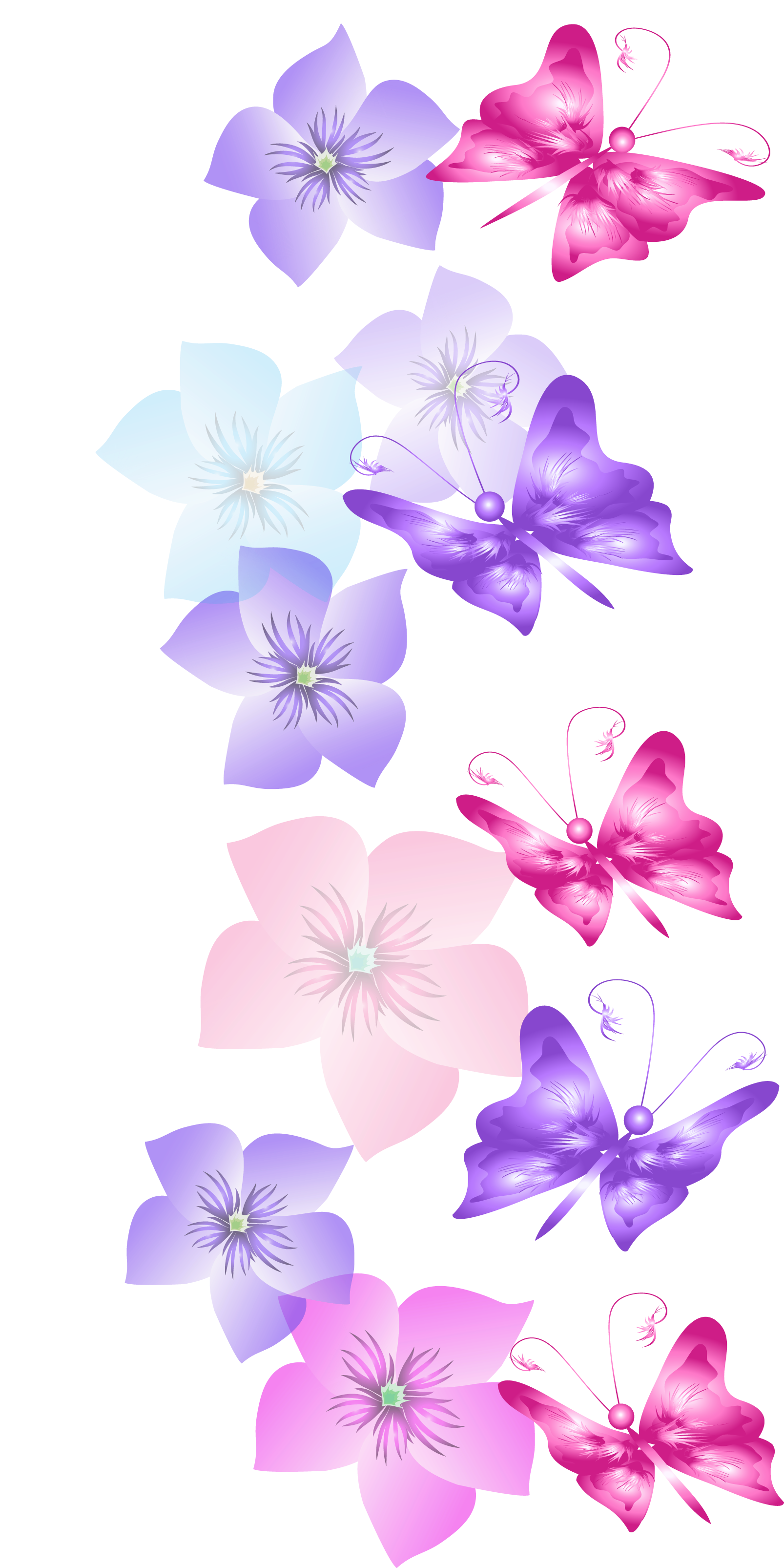 Download Rainbow Butterfly Png Border Butterfly And Flowers Decoration Transparent Png Butterfly Png Transparent Png Download 1038130 Pngfind
