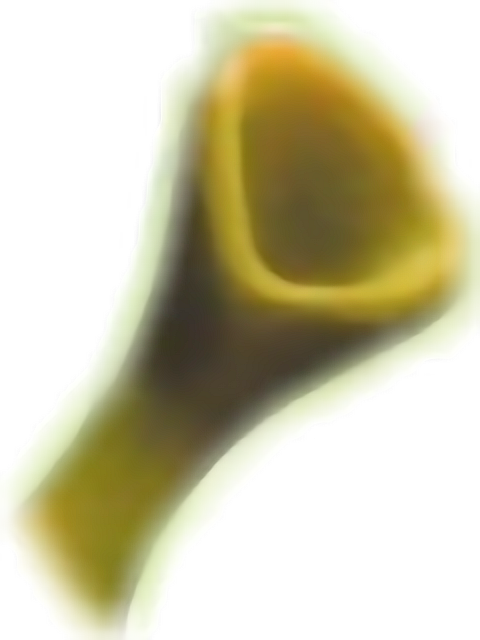 Shrek transparent PNG Images to download for free