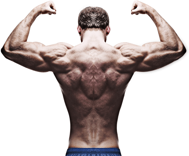 Bodybuilder On A Competition For The Win - Back Poses Stock Photo - Alamy-demhanvico.com.vn