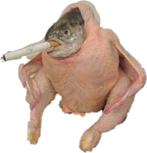 fish chicken cigarette Fish In Chicken Smoking, HD Png Download - memes png - Transparent Png  Download (#183227)
