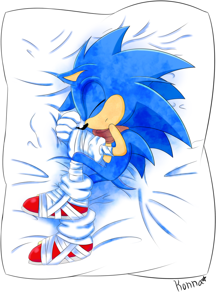 Pokemon Dawn Body Pillow Images Pokemon Images - Sonic Body Pillow