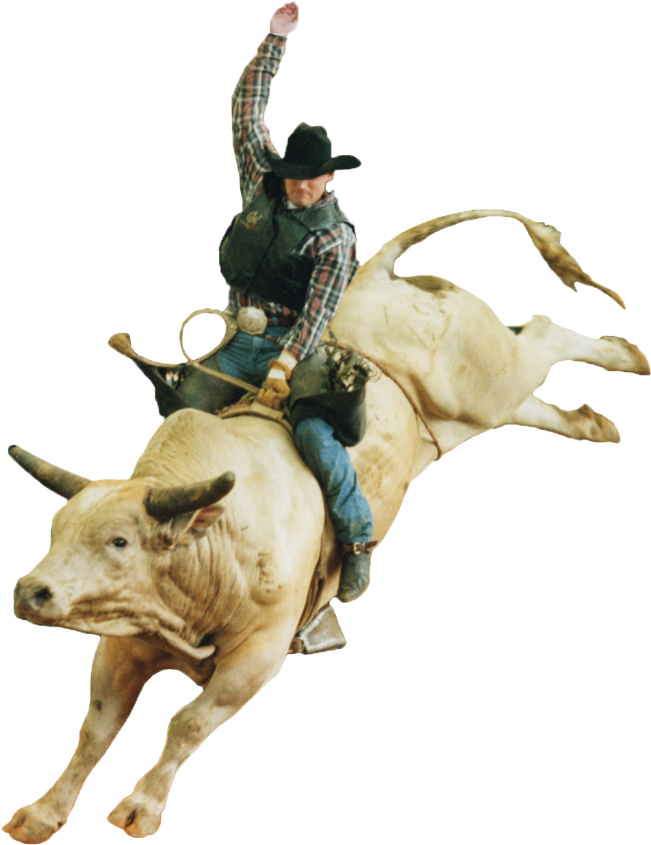 Free Rodeo Clipart - Bull Riding Png, Transparent Png - bull png
