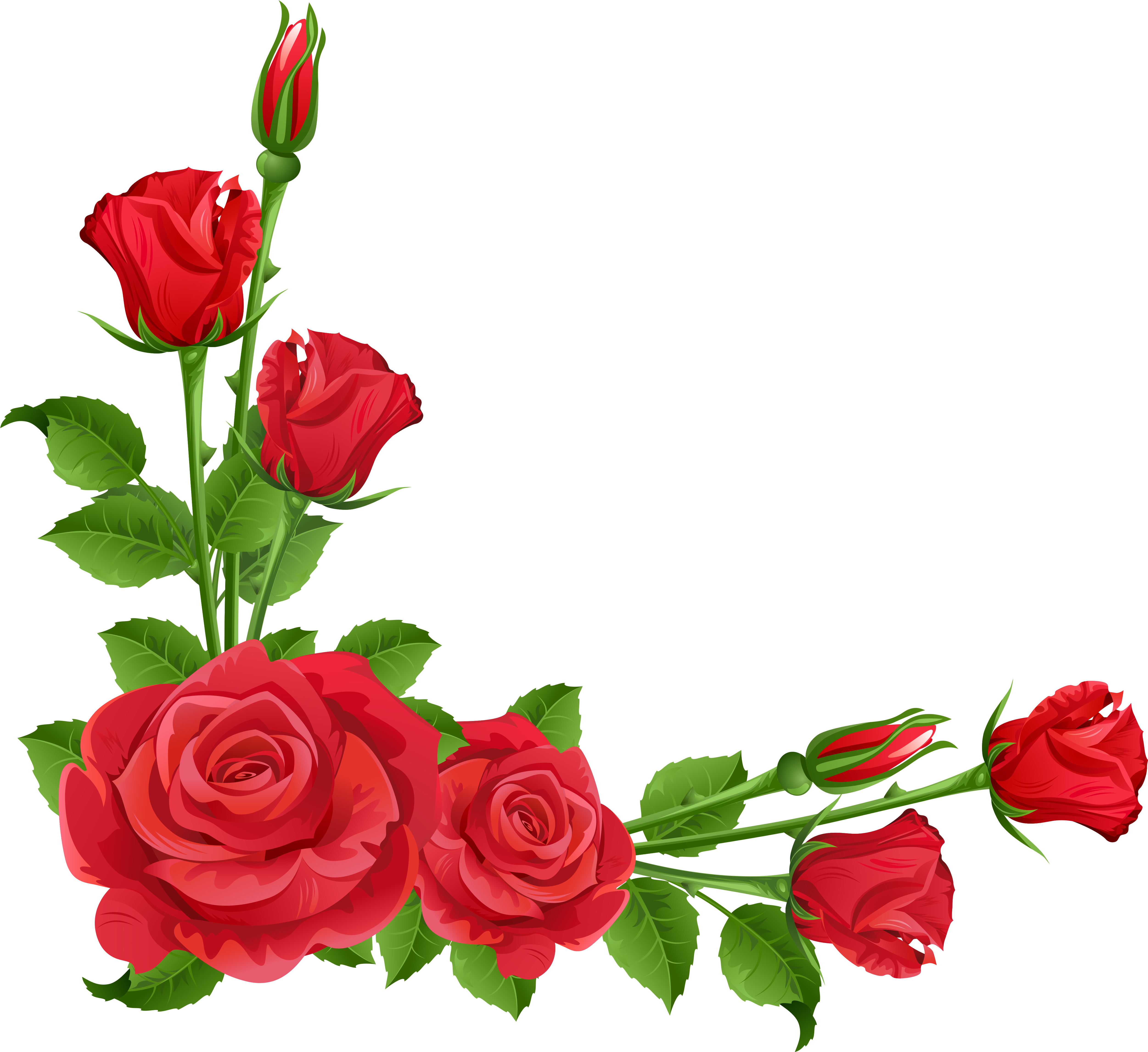 Photos V - Rose Flower Border Design, HD Png Download - 5187x4954(#39865) |  PNG.ToolXoX.com