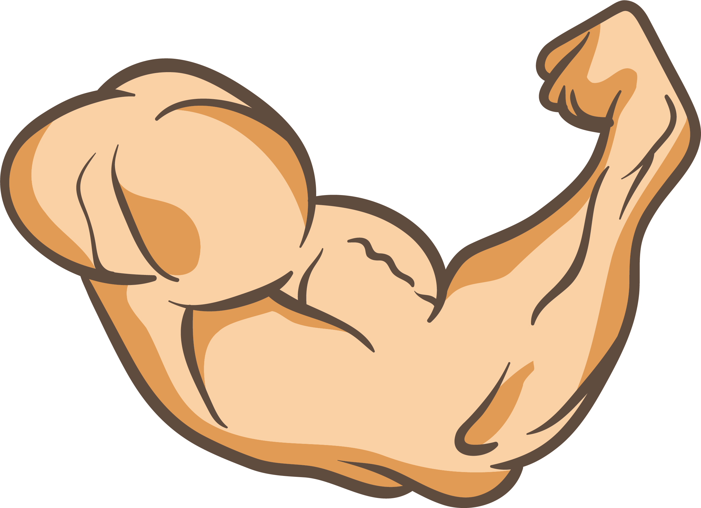 https://www.pngfind.com/pngs/b/40-403090_arms-thumb-muscle-clip-art-a-powerful-arm.png