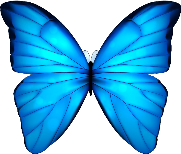 Mariposa online full hd