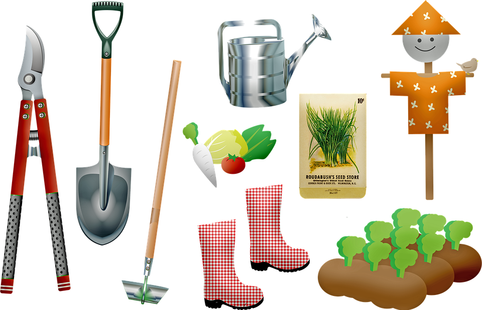 Garden Tools Plants Growing Seeds Shovel Gardening Illustration Hd Png Download Garden Tools Png Transparent Png Download 5590507 Pngfind