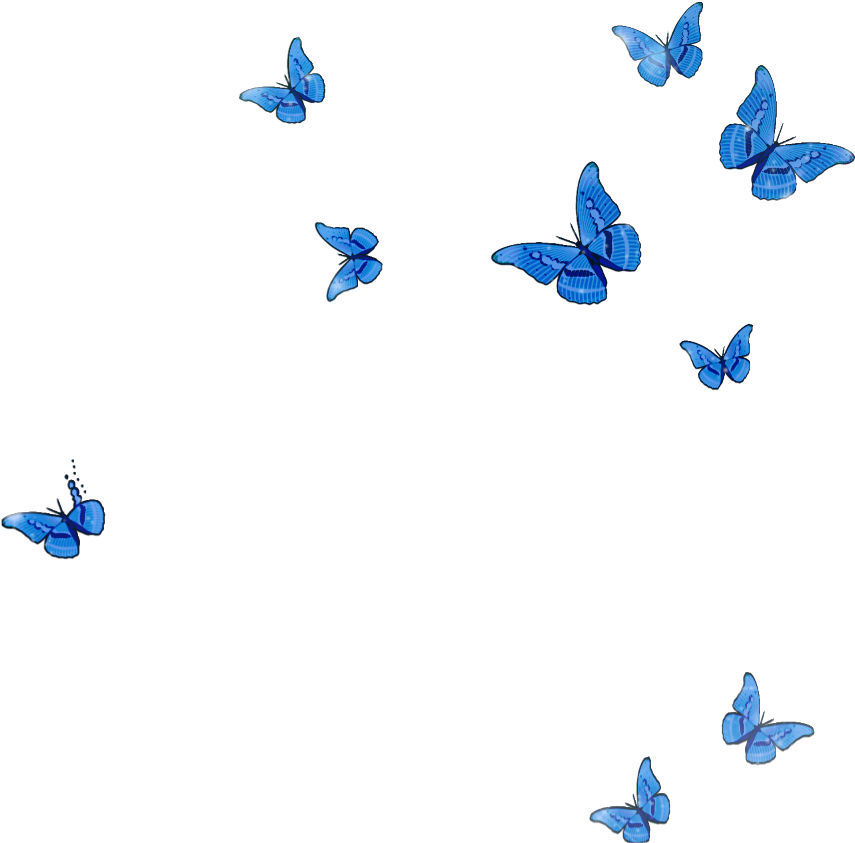 Download Flying Butterflies Image HQ PNG Image