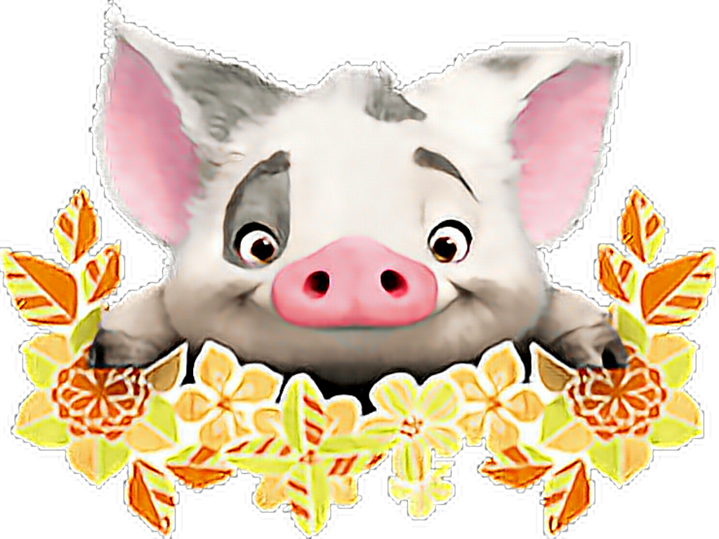 Moana Png Download Cute Pua From Moana Transparent Png Moana Png Transparent Transparent Png Download Pngfind Moana Png Download Cute Pua From Moana Transparent Png Moana Png Transparent Transparent Png Download Pngfind