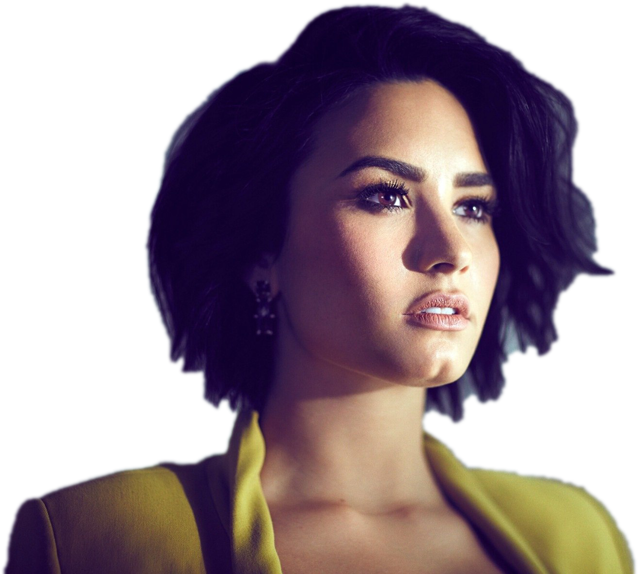 Demi Lovato Transparent Background Png Tipos De Hoyuelos En La Cara
