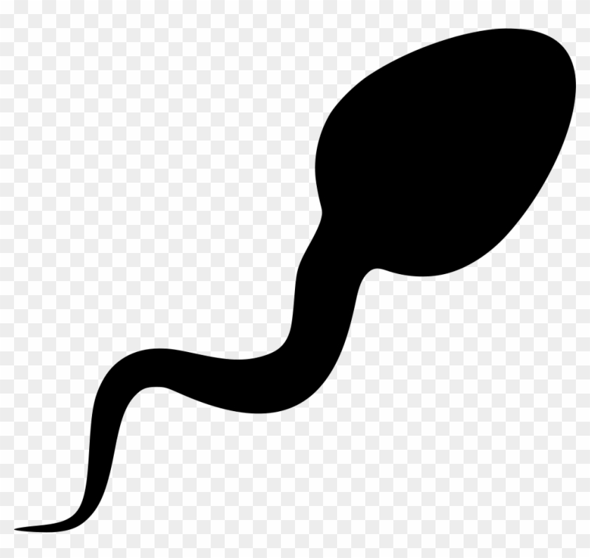 Sperm Cell SVG