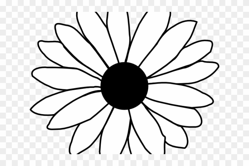 Download Daisy Flower Outline Single Flower Coloring Pages Hd Png Download 640x480 4260 Pngfind