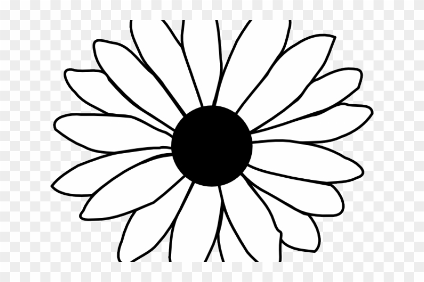 Daisy Flower Outline Single Flower Coloring Pages Hd Png