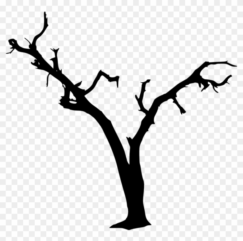 Free Png Dead Tree Silhouette Png Images Transparent Transparent Spooky Tree Silhouette Png Download 850x804 7238 Pngfind Free Png Dead Tree Silhouette Png Images Transparent Transparent Spooky Tree Silhouette Png Download 850x804 7238 Pngfind