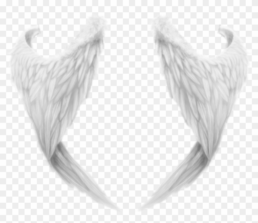 Angels Png Clipart For Photoshop - Angel Wing Transparent Png, Png ...
