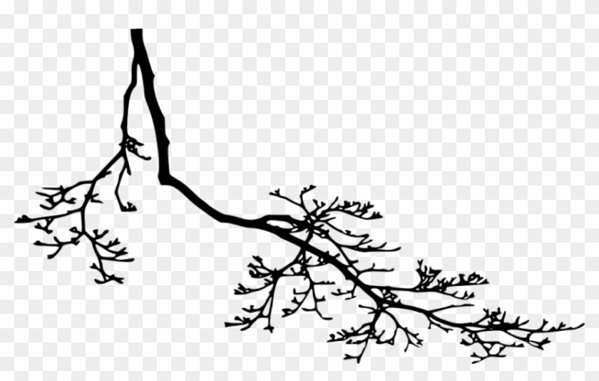 Tree Branch Silhouette Png Tree Branch Silhouette Transparent Png Download 850x500 Pngfind
