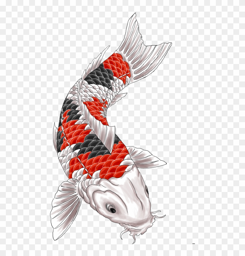Koi Fish Tattoo Png Jpg Library Stock - Koi Tattoo, Transparent Png - 499x800(#13306) - PngFind