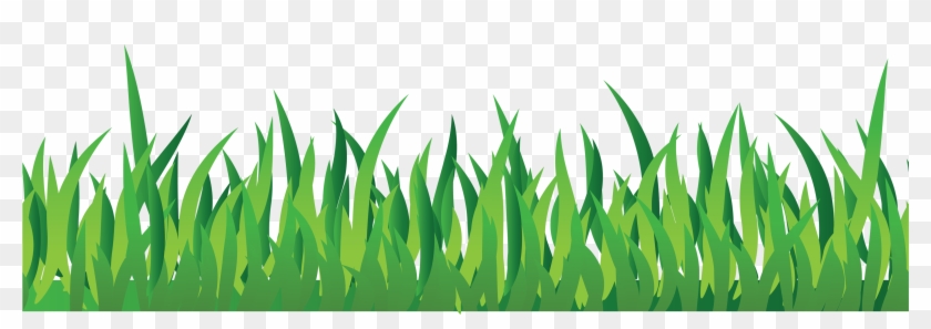 Cartoon Grass, HD Png Download - 3227x988(#16494) - PngFind Cartoon Grass, HD Png Download - 3227x988(#16494) - PngFind