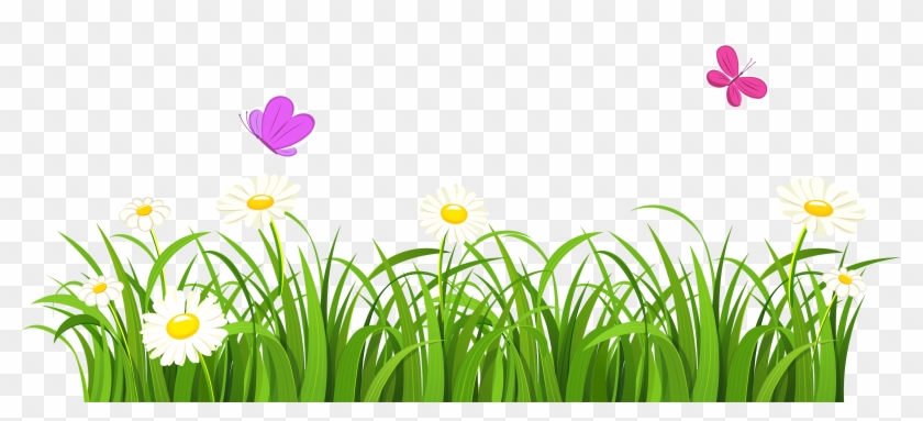 Svg Free Download White Clover Flower Grasses Lawn Grass And Flowers Clipart Hd Png Download 1024x441 17152 Pngfind