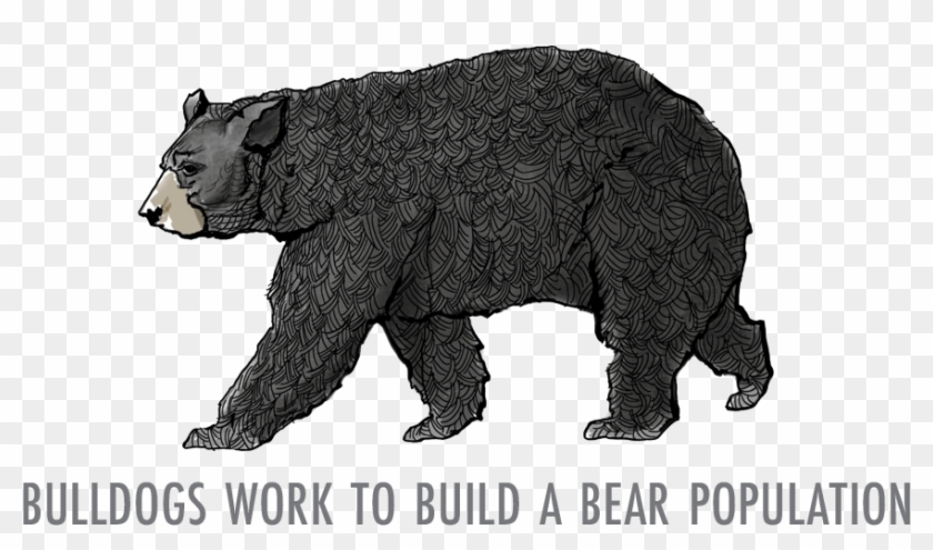theodore roosevelt bear hunt