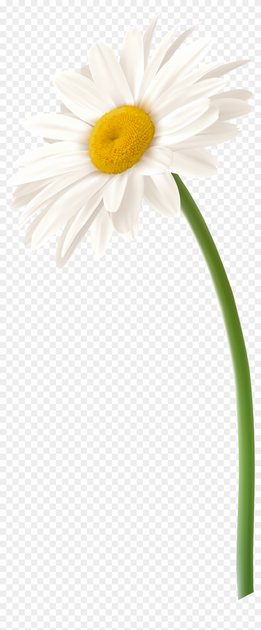 Free Free 159 Princess Daisy Svg SVG PNG EPS DXF File