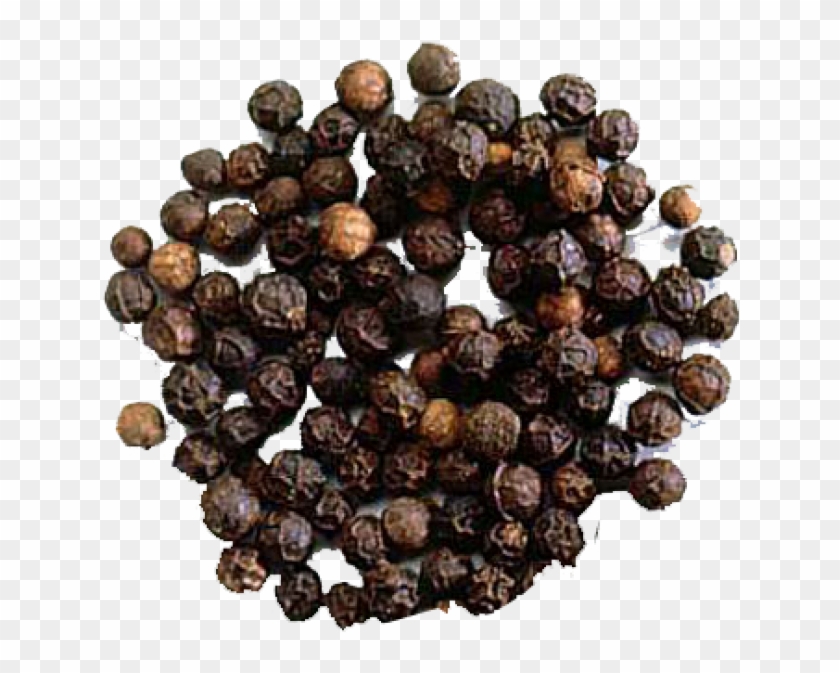black pepper transparent images black paper spice png png download 800x800 108698 pngfind black paper spice png png download
