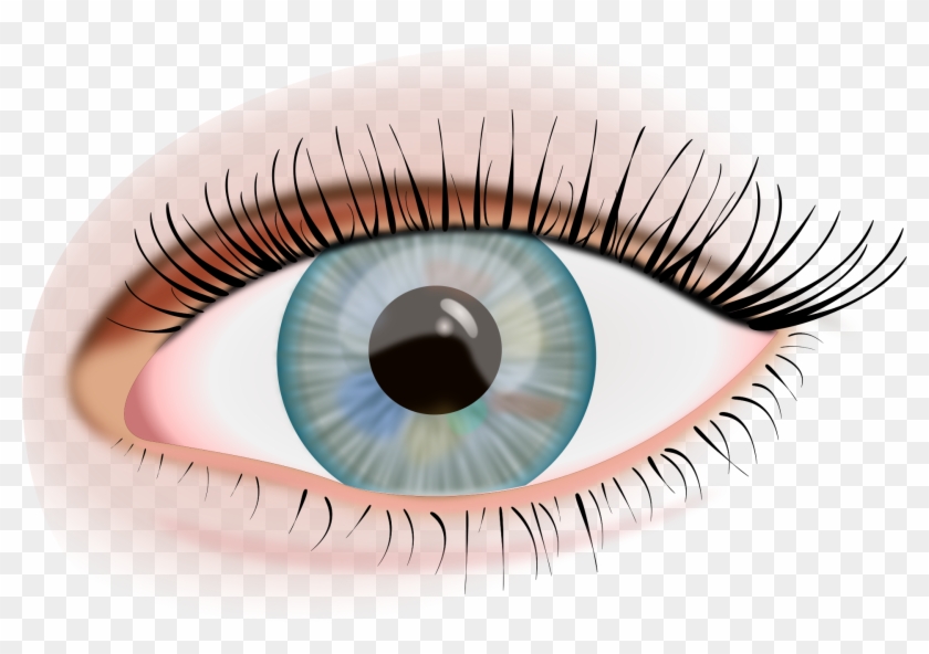 Ojo Humano Png, Transparent Png - 1920x1377(#1001812) - PngFind