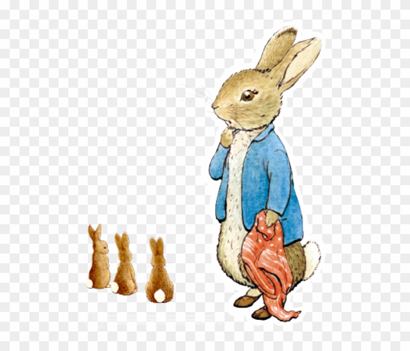 Peter Rabbit Png - Peter The Rabbit Quotes, Transparent Png - 500x640 ...