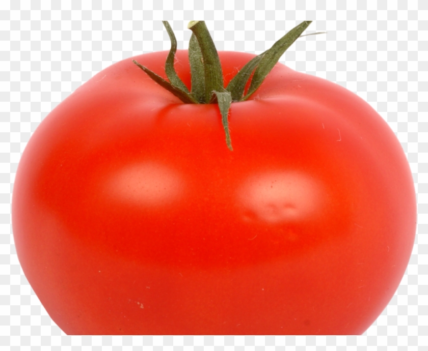 Fresh Red Tomato Png Image Tomate Png Transparent Png 1024x768 Pngfind Fresh Red Tomato Png Image Tomate Png Transparent Png 1024x768 Pngfind
