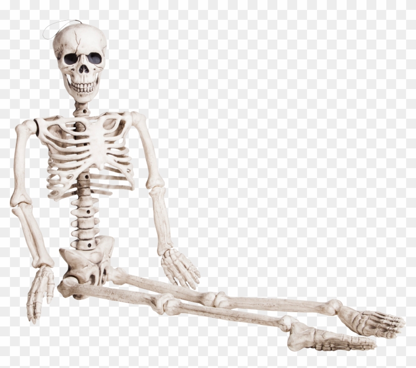 Esqueleto Sentado Animado Hd Png Download 3125x2622 1028788 Pngfind