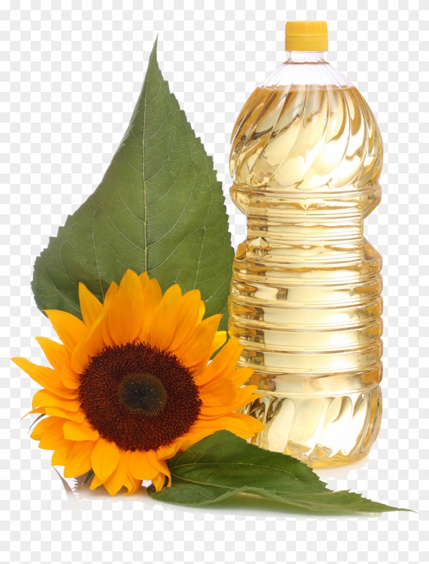 Sunflower Oil Free Png Image - Sunflower Oil, Transparent Png -  1012x1284(#1034308) - PngFind