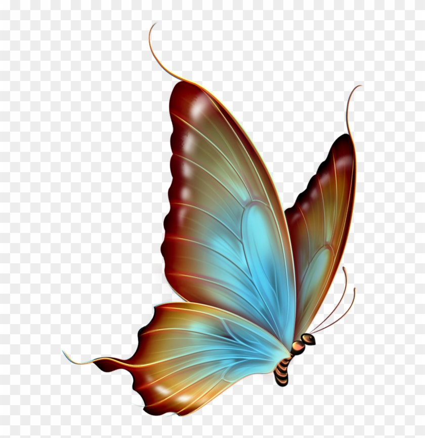Transparent Background Butterfly Png , Png Download, Png Download -  599x785(#1038089) - PngFind