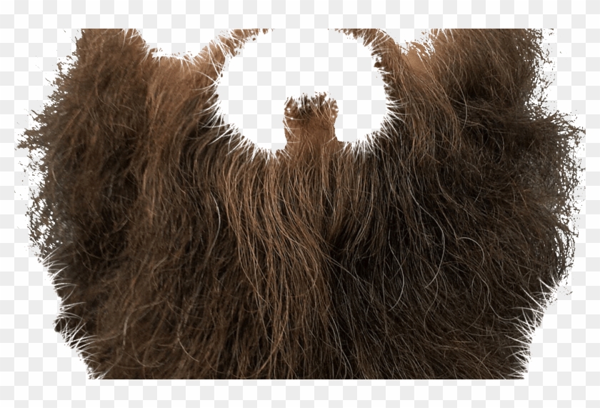 Graphic Absolutely free Down load Beard Clipart Printable - Beard For photograph regarding Printable Beard referred to as Graphic Free of charge Down load Beard Clipart Printable - Beard For