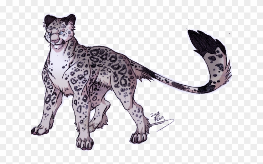 Snow Leopard Image Download Snow Leopard Image Download