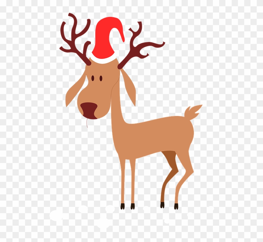 Rudolph And Other Misfits - Christmas Reindeer Cartoon Png, Transparent Png  - 556x720(#1062174) - PngFind