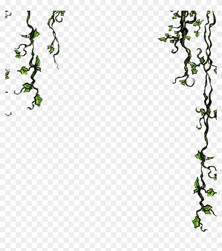 Jungle Vine Wallpaper Border - Jungle Vines Border, HD Png Download