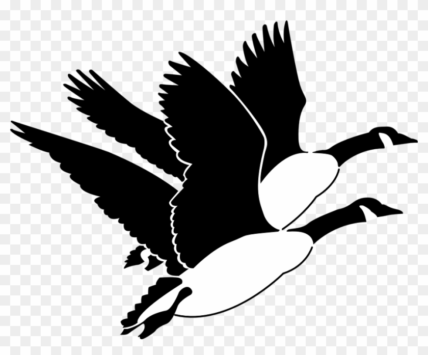 Goose Clipart Gander - Flying Geese Clipart, HD Png Download - 920x720