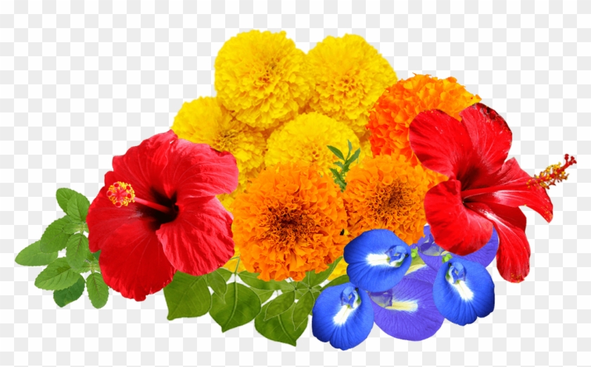Png Puja, Transparent Png - 1366x768(#119040) - PngFind