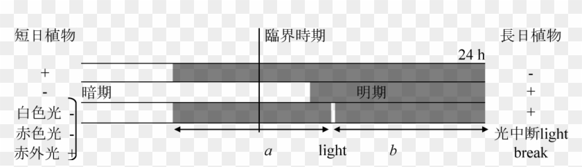 Chrnb 01 Musical Composition Hd Png Download 1579x380 Pngfind Chrnb 01 Musical Composition Hd Png Download 1579x380 Pngfind