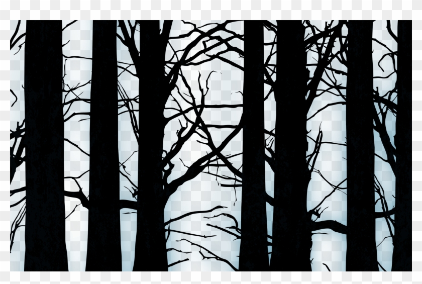 Custom Transparent Black Forest - Dark Forest Transparent, HD Png Download  - 2600x1625(#1130195) - PngFind