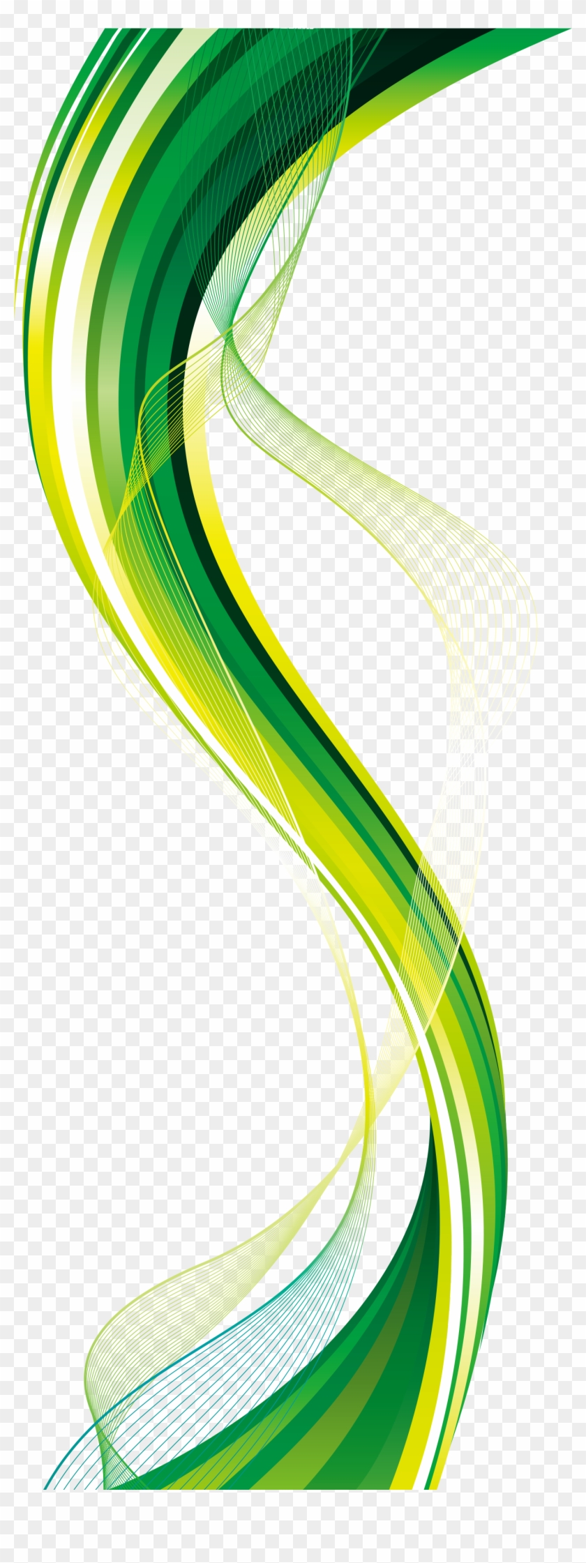 Transparent Vector Images - Background Green Vector Png, Png Download -  1560x3992(#1132840) - PngFind
