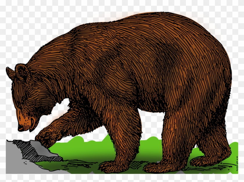 grizzly bear standing clipart