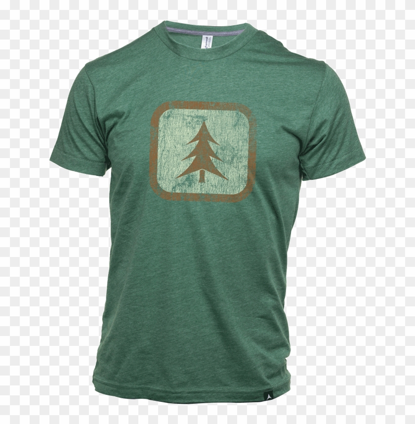 Aspinwall Evergreen T Shirt Pine - Shot Put, HD Png Download - 672x800 ...