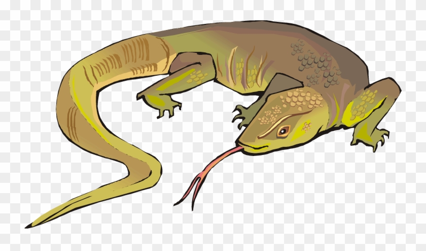 Horned Lizard Png Photos - Monitor Lizard Cartoon Png, Transparent Png - 750x414(#1143779) - PngFind Horned Lizard Png Photos - Monitor Lizard Cartoon Png, Transparent Png - 750x414(#1143779) - PngFind
