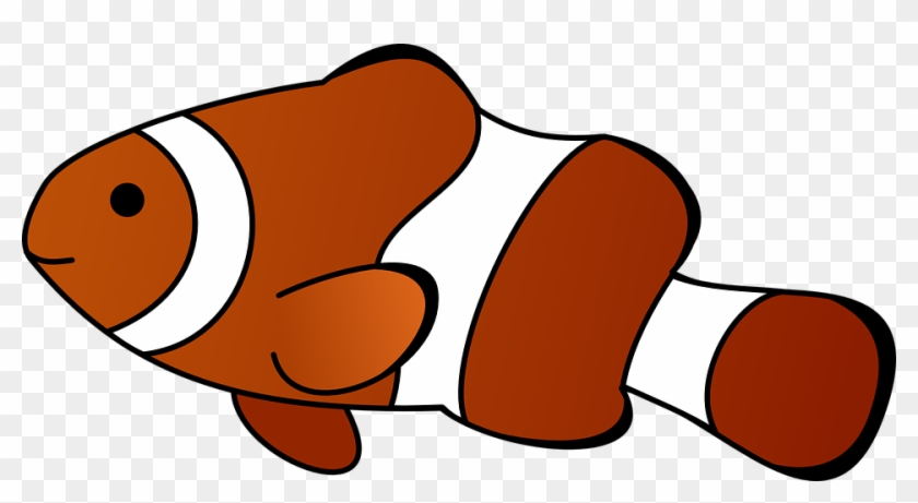 Fish Nemo Animal Sea Clown Fish - Cartoon Fish Png, Transparent Png - 960x482(#1144817) - PngFind Fish Nemo Animal Sea Clown Fish - Cartoon Fish Png, Transparent Png - 960x482(#1144817) - PngFind