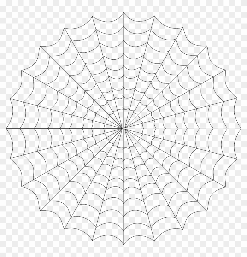 Spider Web Png Teia De Aranha Png Transparent Png 1280x1273 1148991 Pngfind