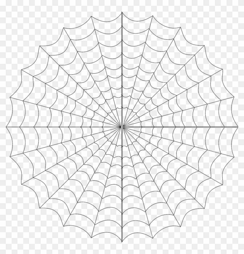 Spider Web Png Teia De Aranha Png Transparent Png 1280x1273 1148991 Pngfind