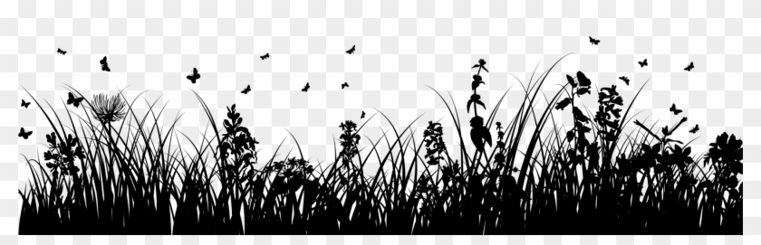 Download Privacy Policy Grass Silhouette Png Transparent Png Download 1800x497 1174478 Pngfind