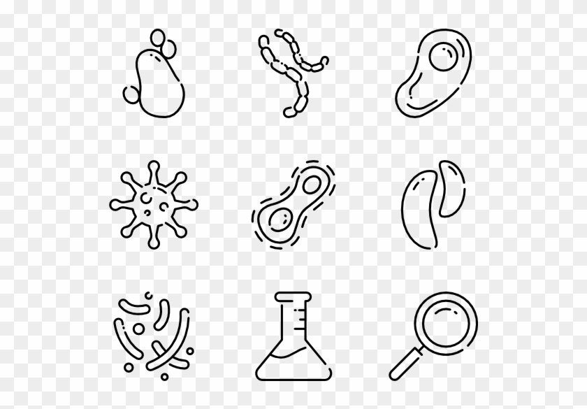 Bacteria - Line Art, HD Png Download - 600x564(#1176804) - PngFind