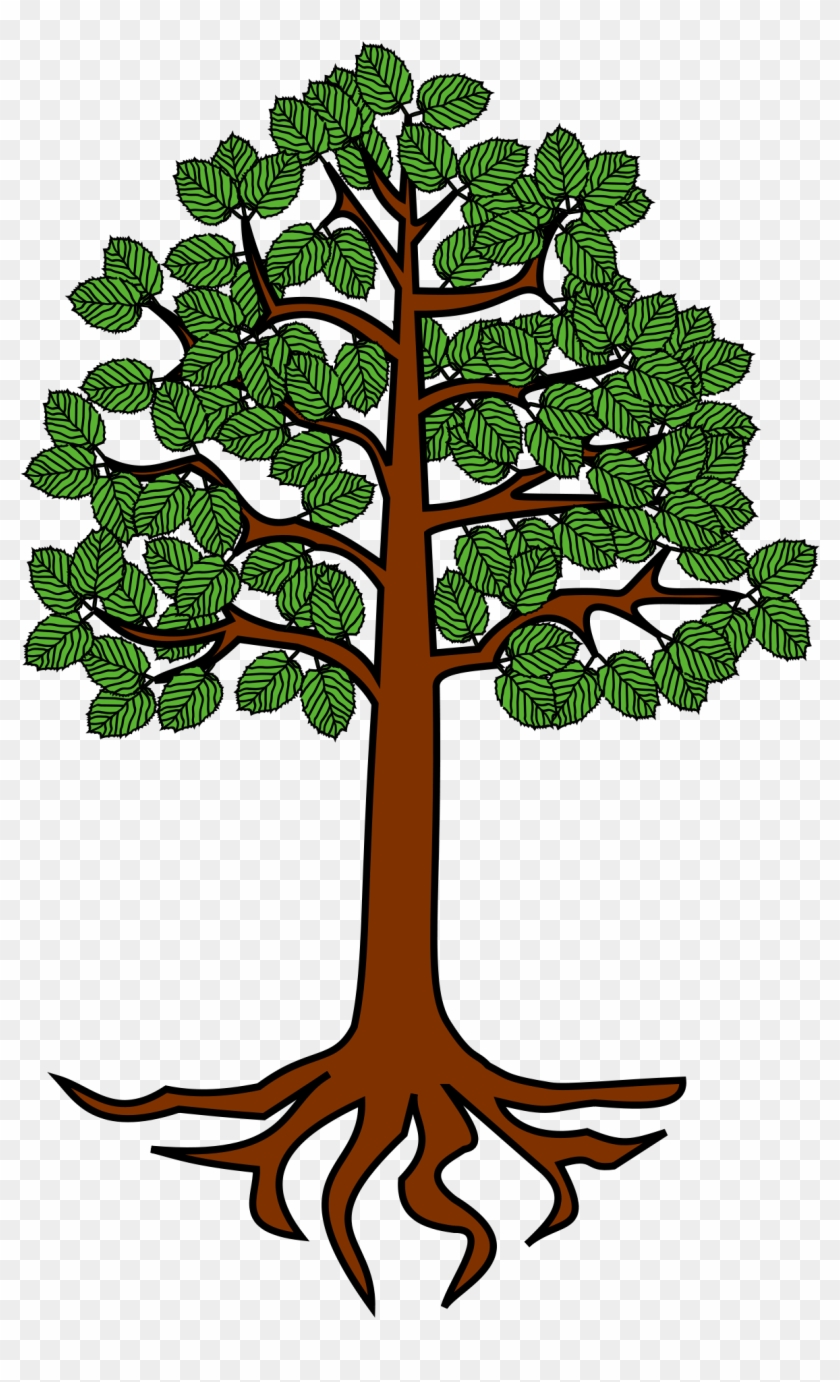 28 Collection Of Tree With Roots Clipart Png - Tree With Root Cartoon