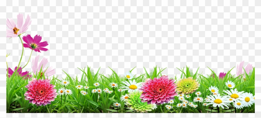 Grass Flower, Transparent Stickers, Picsart, Frames, - Grass & Flower Png  Background, Png Download - 2289x2289(#1188341) - PngFind